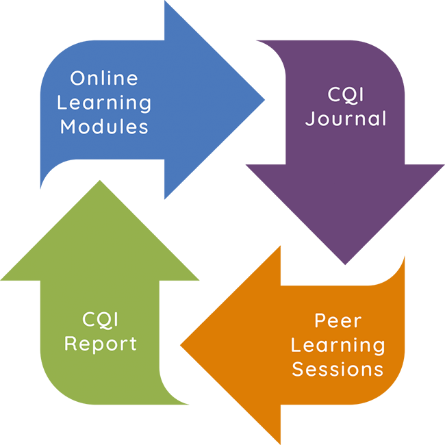 LearnERS collaborative CQI process